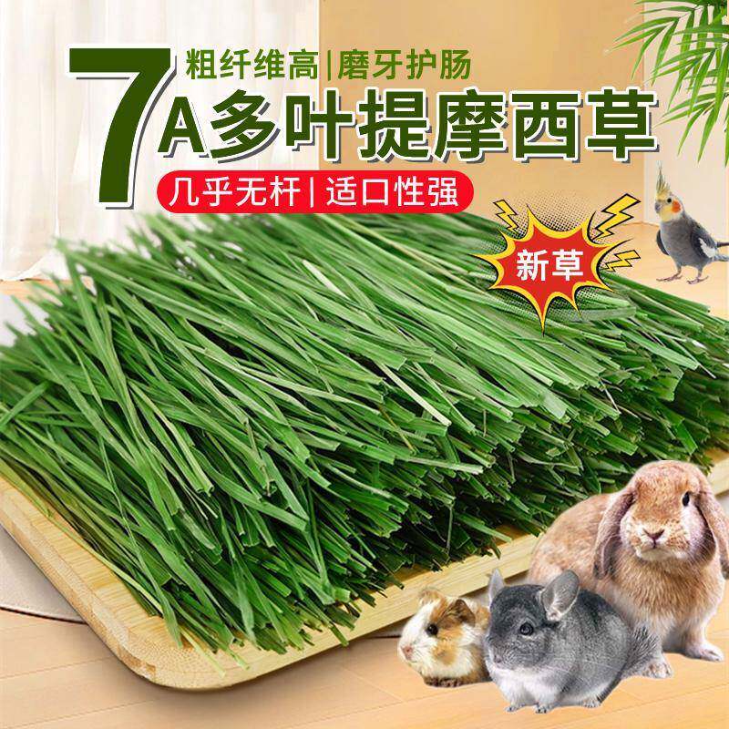 24年7A级烘干提摩西草北提手选叶多杆少兔子龙猫豚鼠饲料干草250g