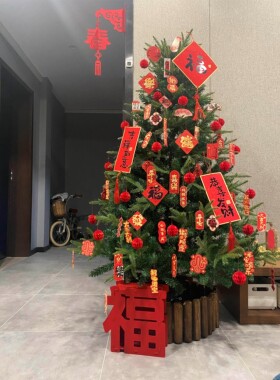 圣诞仿真树家用落地摆件