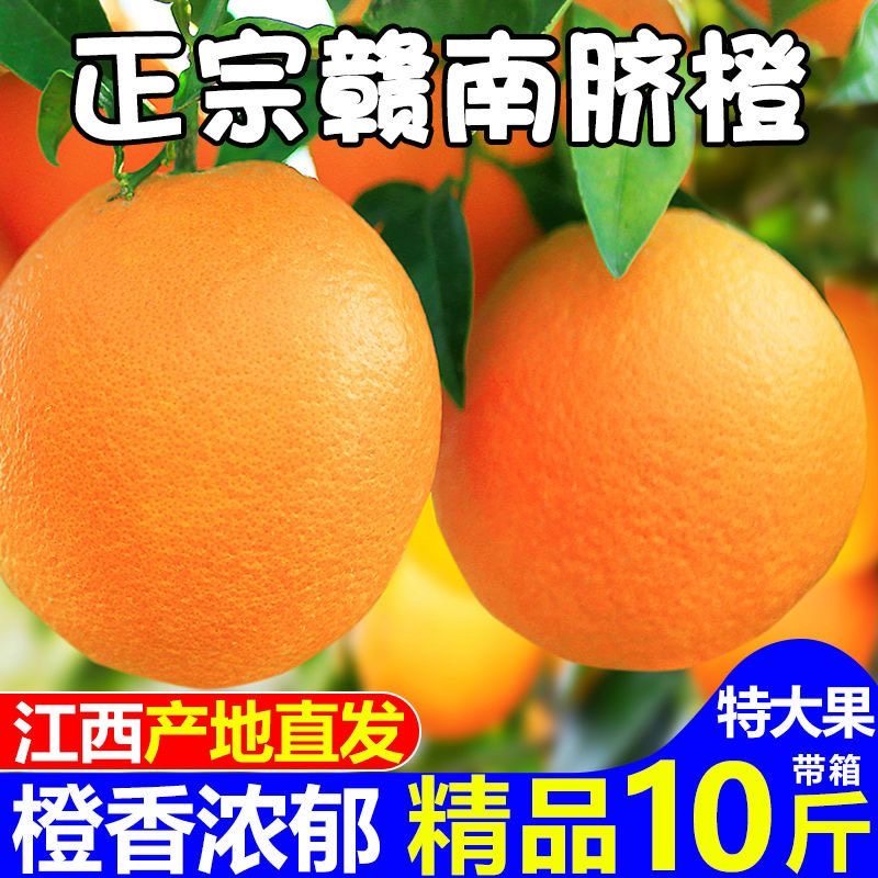 【产地直发假一赔十】正宗赣南脐橙江西甜橙整箱装当季孕妇鲜水果,水产肉类/新鲜蔬果/熟食,橙,淘宝优惠券,粉丝福利购,淘宝优惠卷