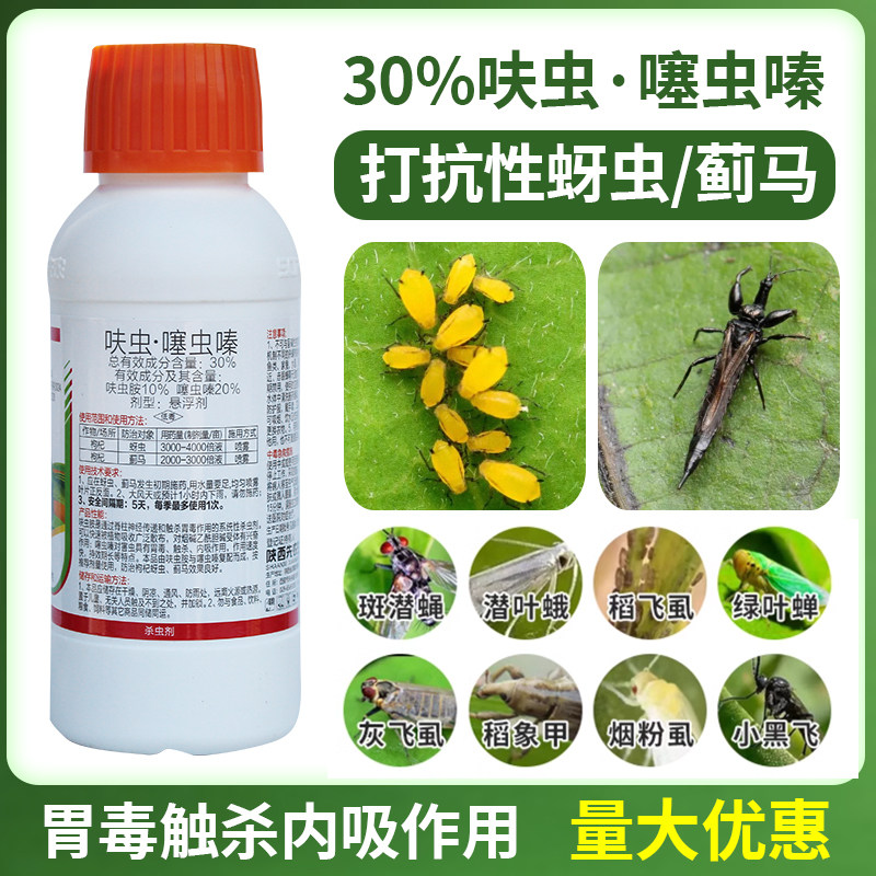 呋虫噻虫嗪蚜虫蓟马速效杀虫剂