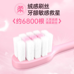 分束成人家用护龈清洁细软毛牙刷 RAOYI猫爪情侣软毛牙刷3支装