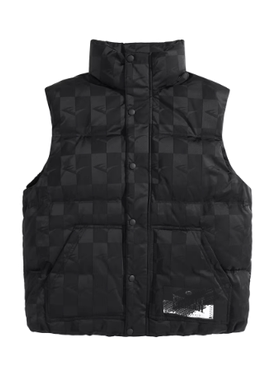 （鸟)秋冬联名款男士棋盘格羽绒马甲时尚保暖白鸭绒背心C4A03/Y24