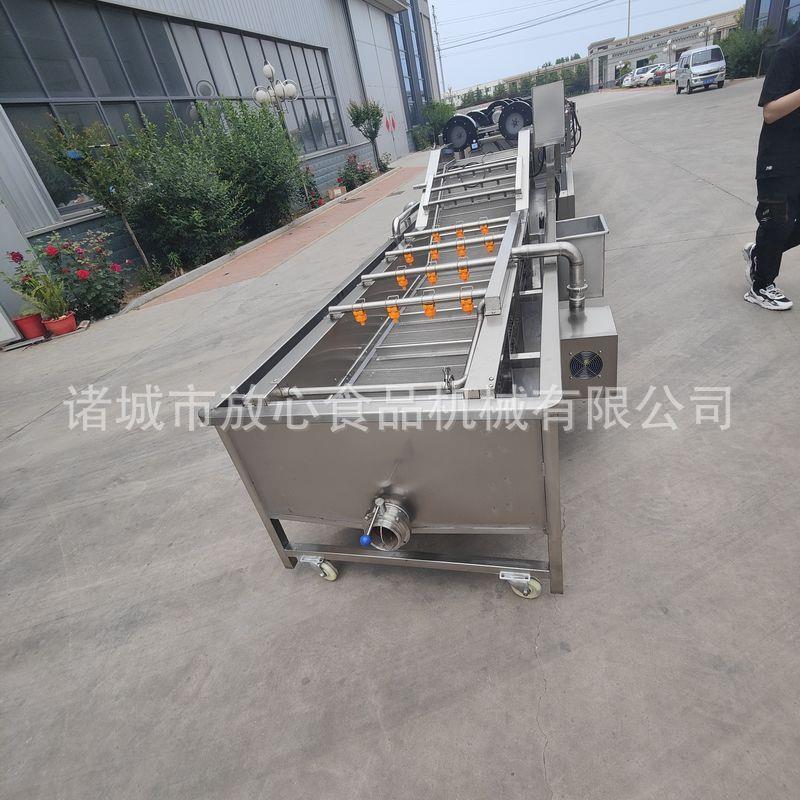 中草药清洗机厂家 桑黄清洗机 高压喷淋清洗机 人参清洗设备