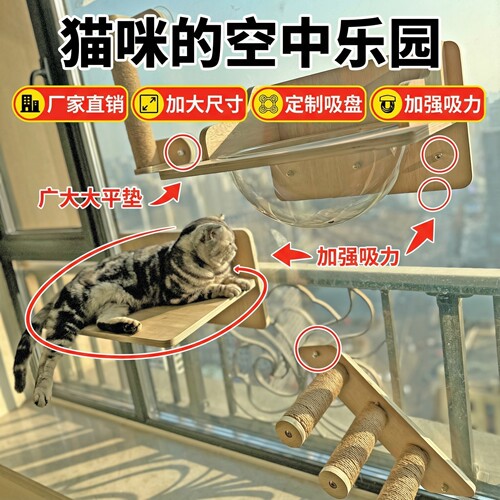 窗户猫吊床悬挂式吸盘猫爬架