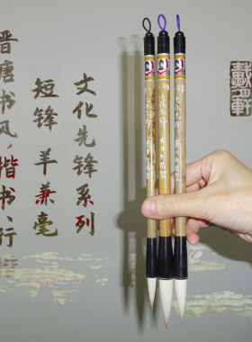 颜欧褚体戴月轩毛笔行楷书隶书
