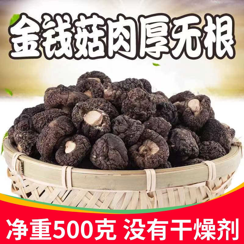精选黑面金钱菇净重500g蘑菇剪根小香菇肉厚香浓特产冬菇散装干货