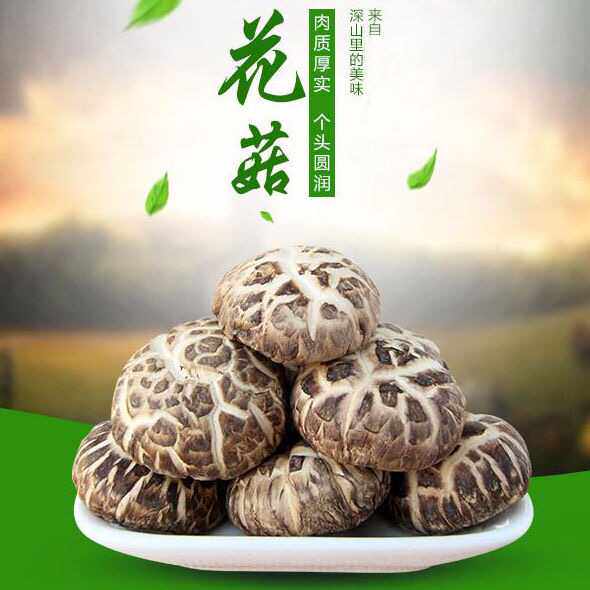 农家椴木剪脚干花菇 500g净重肉厚大花菇天然晒干新鲜香菇香浓