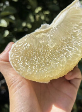 新鲜云南西双版纳傣柚子东试早蜜柚新鲜水果泡果傣柚【酸酸甜甜】