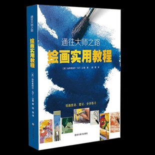 美术全绘画种类技法百科全书彩铅马克笔水彩颜料水粉颜料丙烯颜料油画颜料混合媒介绘画技法 通往大师之路：绘画实用教程