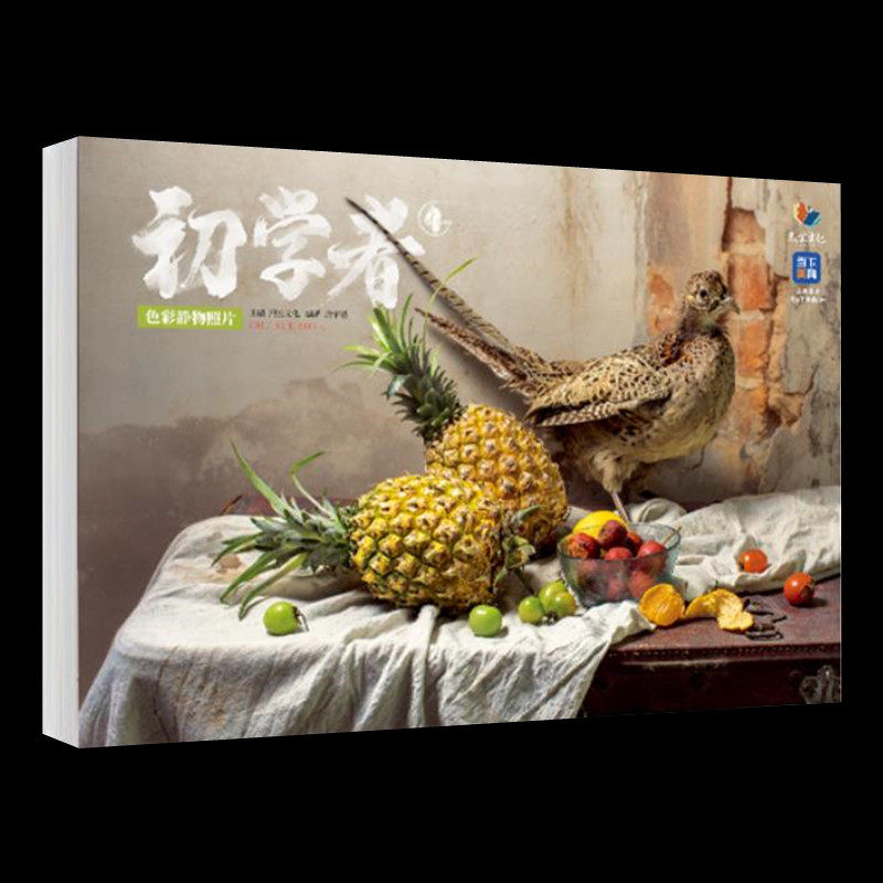 初学者4色彩静物照片 2023烈公文化庞宇韬色彩单体组合水果蔬菜花卉