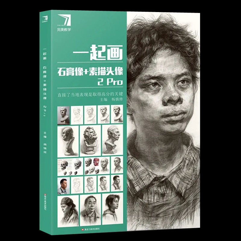 一起画石膏像素描头像2pro 完美教学2022杨慎修素描基础结构完整稿