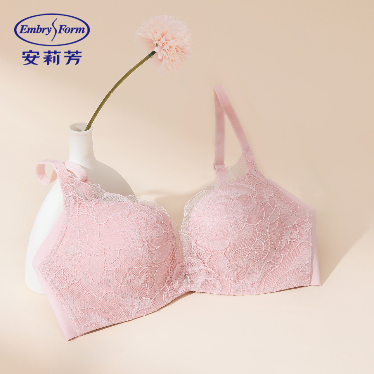 【舒挺杯】安莉芳玫瑰蕾丝文胸女小胸聚拢显大无钢圈内衣EBW0868