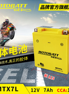 川崎KLX250 125 140 150D 250TR W175西藏人摩托车电瓶蓄电池12V