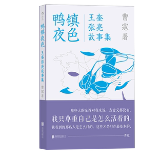 鸭镇夜色 16个短篇故事3个小镇青年1个变动速度快到模糊的时代嬉笑怒骂皆成文章世事无常不负己心