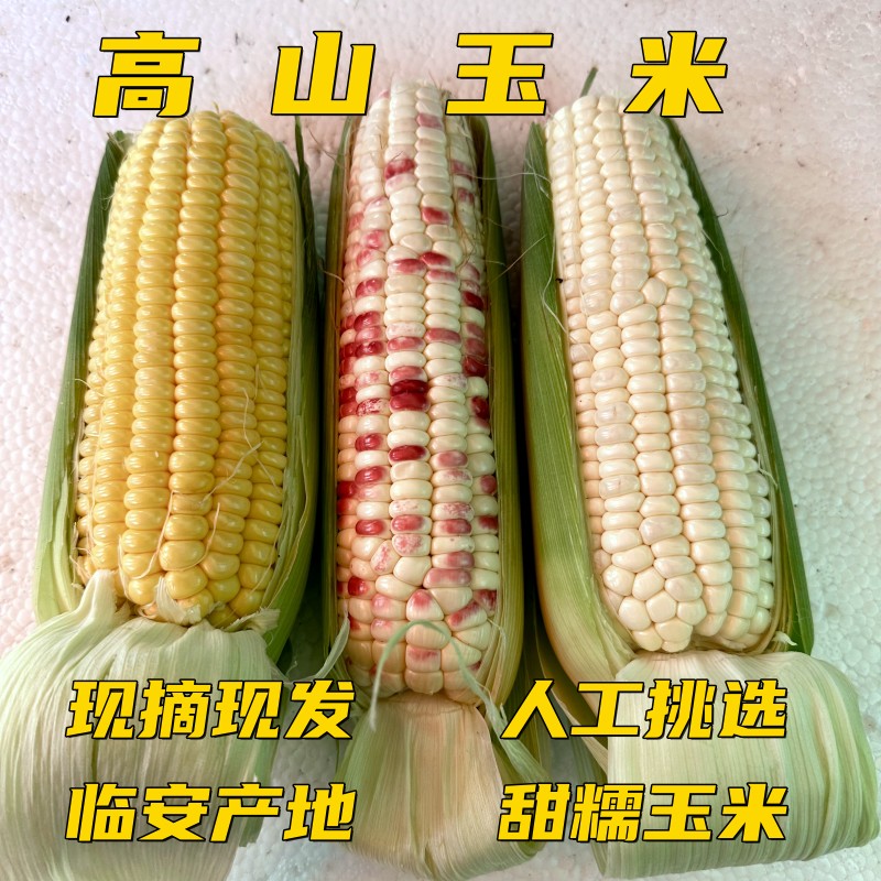 白糯水果玉米糯甜炖排骨