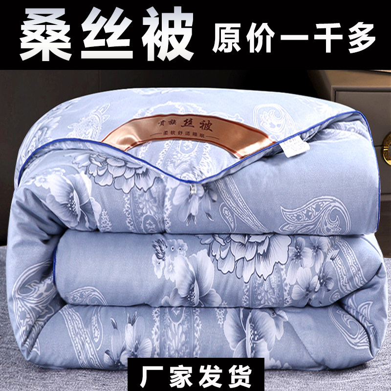 加厚桑丝被子冬被保暖丝棉被芯春秋冬季太空被褥双人冬天10斤特价,床上用品,化纤被,淘宝优惠券,粉丝福利购,淘宝优惠卷