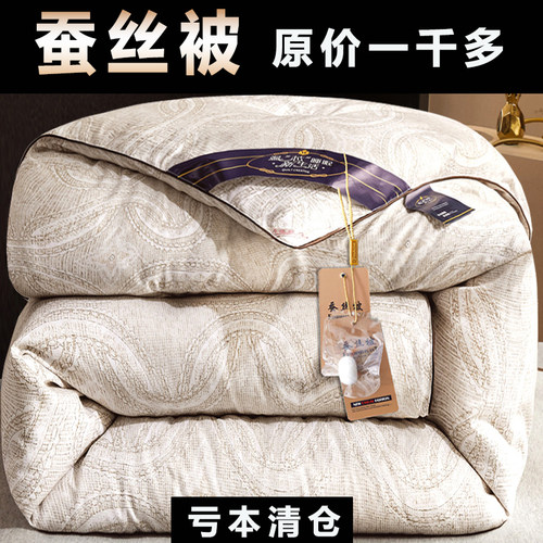 加厚保暖蚕丝被子冬被丝棉被芯春秋冬季太空被褥棉絮冬天双人特价