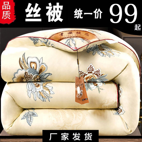 加厚丝棉被冬被春秋冬季保暖被子