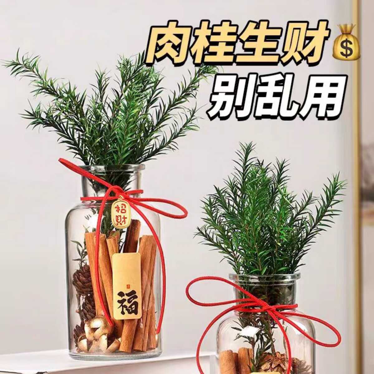 肉桂生财香薰玻璃瓶摆件聚财门招财千层金卧室办公室桌面装饰礼物