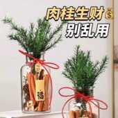 肉桂生财香薰玻璃瓶摆件聚财门招财千层金卧室办公室桌面装 饰礼物
