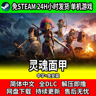 灵魂面甲 沙盒游戏 PD单机 中文免安装 包更新 网盘下载 免steam