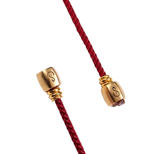 易行堂万象黄金弟子珠22k文玩配饰百香籽星月搭配佛珠念珠男