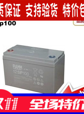 非凡蓄电池FIAMM 12SP100蓄电池 非凡12V100AH铅酸免维护UP包邮
