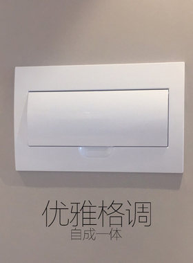 配电箱盖面板纯白色12盖子20回路24空开16强电箱盖10位装饰家用18