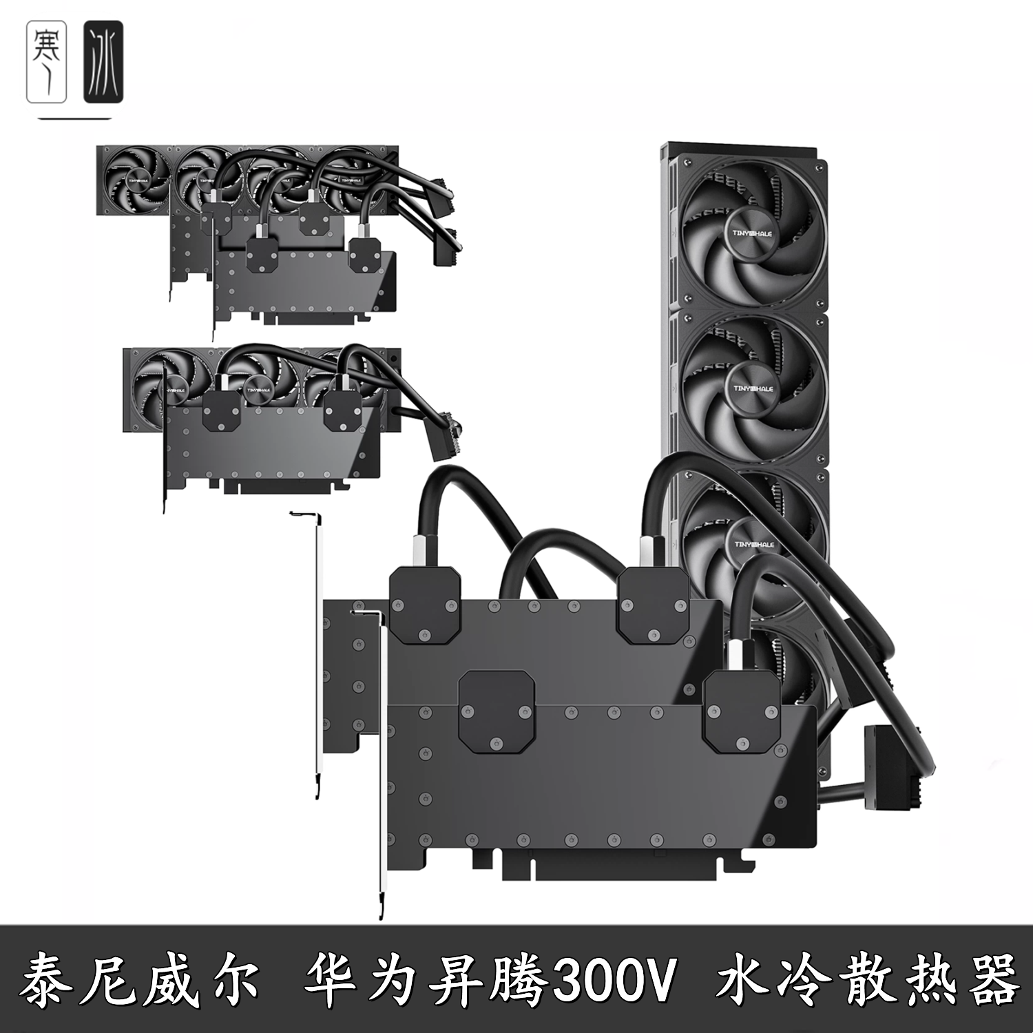 泰尼威尔昇腾Atlas300V24G显卡