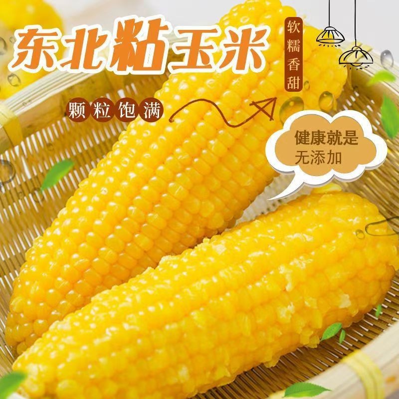 试吃3根 黄糯玉米 整箱10根 东北黑土地种植 软糯香甜休闲代餐