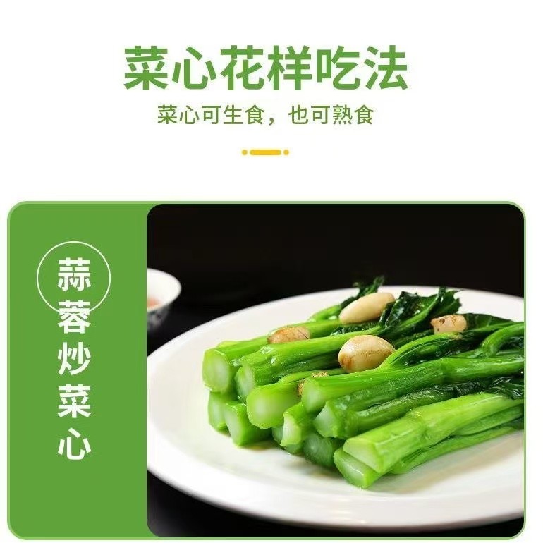 广东甜菜心新鲜蔬菜现摘现发青菜菜苔小油菜心当季新鲜现采蔬菜