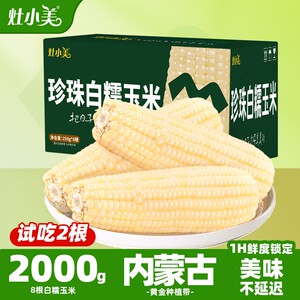 灶小美内蒙古鲜食白糯玉米低脂粗粮早餐代餐非东北非即食老人小孩