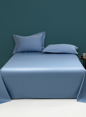 A类100S新疆长绒棉床单单件纯棉100全棉贡缎轻奢2m双人加厚被单