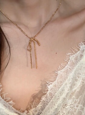 轻奢极简蝴蝶结流苏女士项链