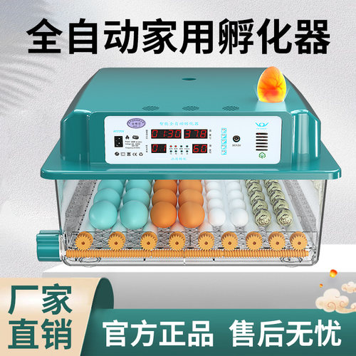 家用型全自动智能孵化器孵蛋器