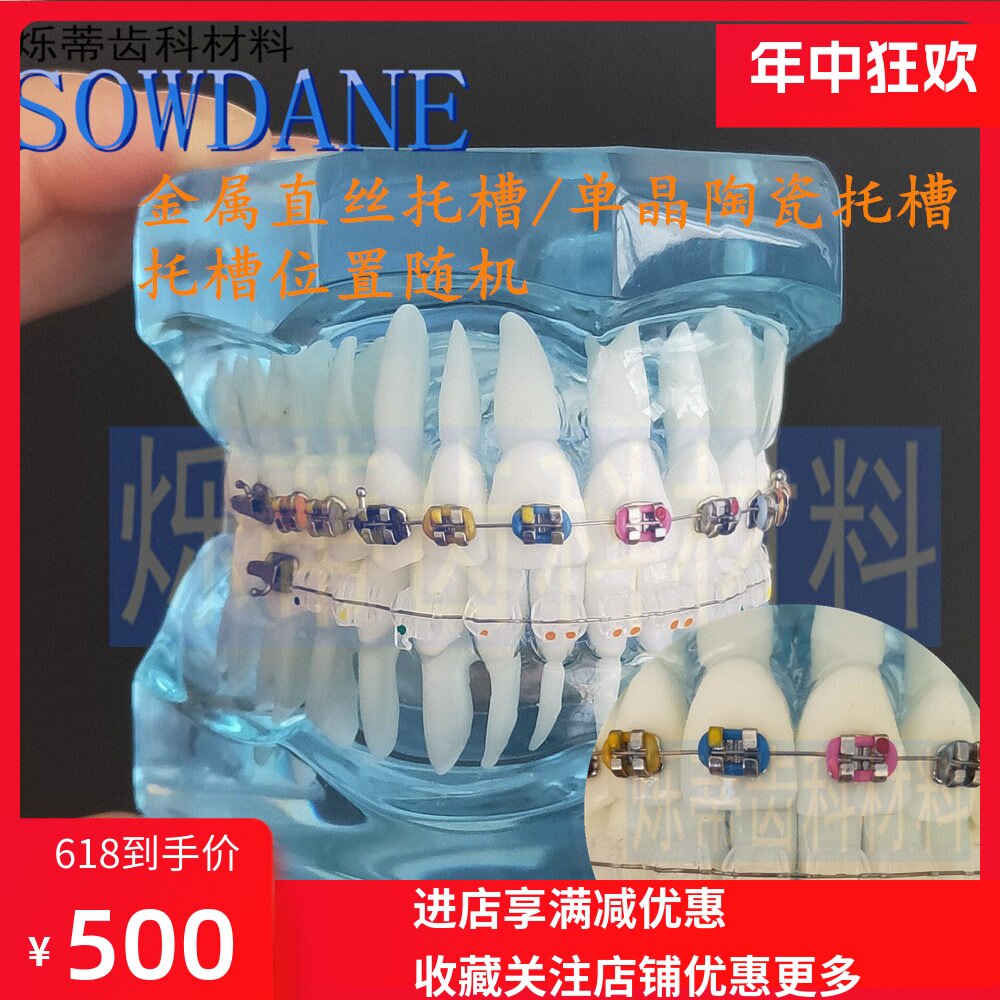 牙科牙模正畸模型对比模型透明牙模口腔教学医患沟通展示两对比