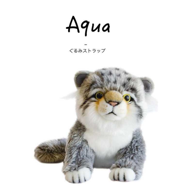 aqua日本正版兔狲公仔