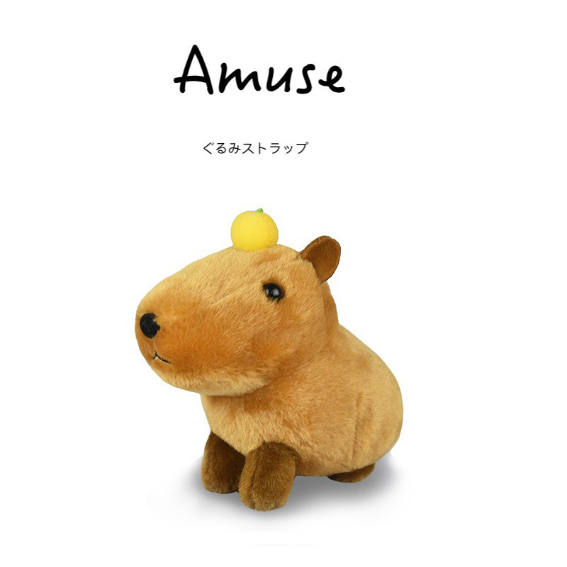 amuse日本正版水豚公仔