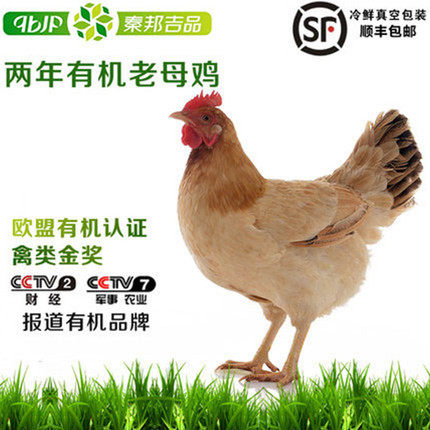 【秦邦吉品】 二年有机老母鸡600天放养草鸡农家散养土鸡