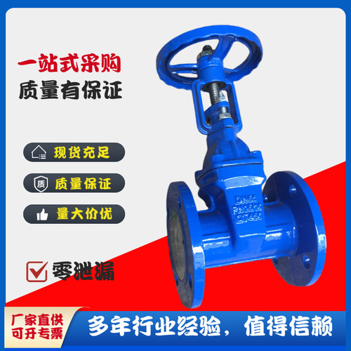 良工阀门Z41X-16Q明杆球墨铸铁软密封法兰闸阀RRHX弹性座封闸阀