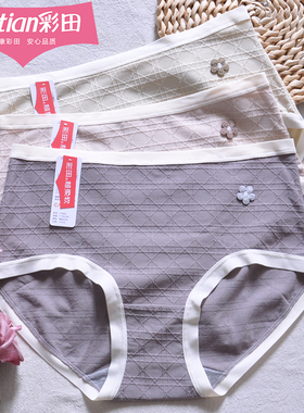 三条装彩田大牌格纹提花透气棉莫代尔15805抑菌石墨烯中腰女内裤