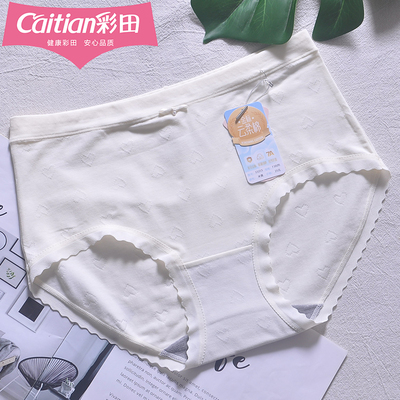彩田女三角裤透气蕾丝边棉莫混纺