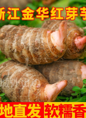 浙江金华现挖红芽芋头新鲜农家软糯小芋头仔农产品红梗芋艿5/3斤