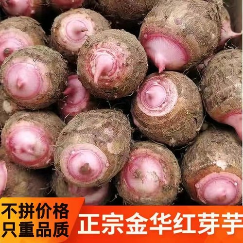 新鲜现挖芋艿软糯粉香