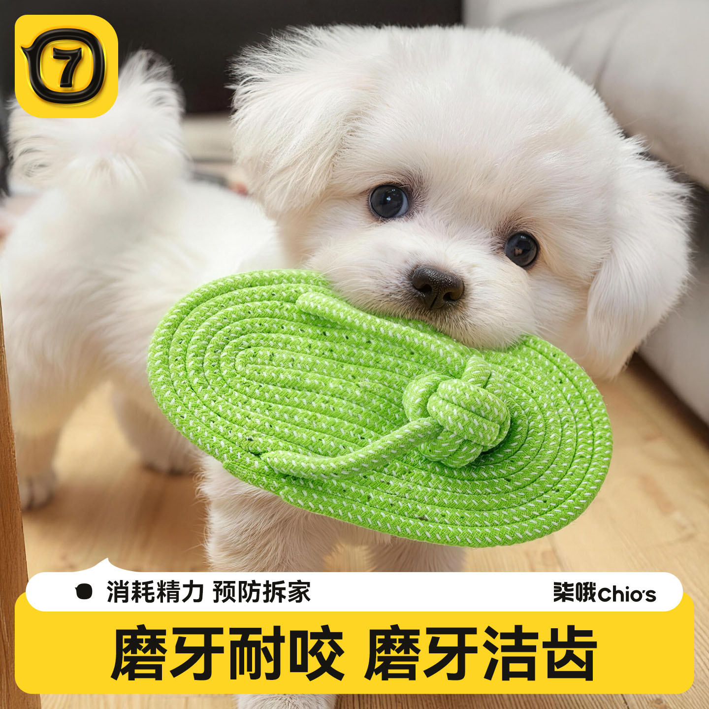 【保护拖鞋】耐咬磨牙绳结玩具图片
