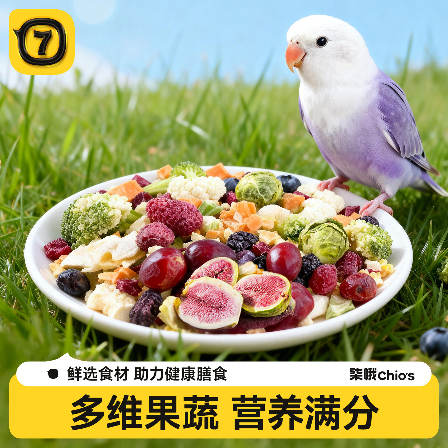 鹦鹉零食水果蔬菜冻干训练奖励牡丹玄凤虎皮小太阳饲啃咬鸟粮食料,宠物/宠物食品及用品,鸟食,淘宝优惠券,粉丝福利购,淘宝优惠卷