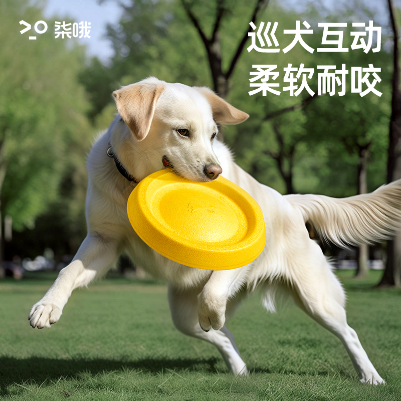 狗狗玩具耐咬巡回圆环飞盘大型犬边牧消耗体力磨牙解闷宠物狗咬球