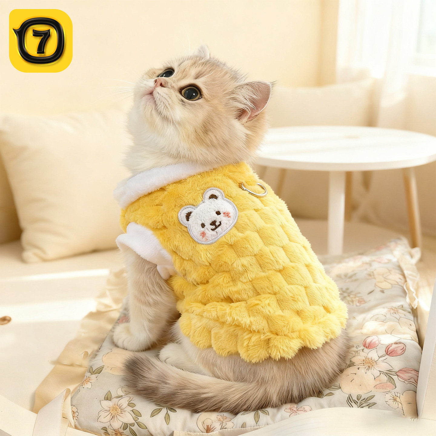 猫咪衣服秋冬款防掉毛加绒背心