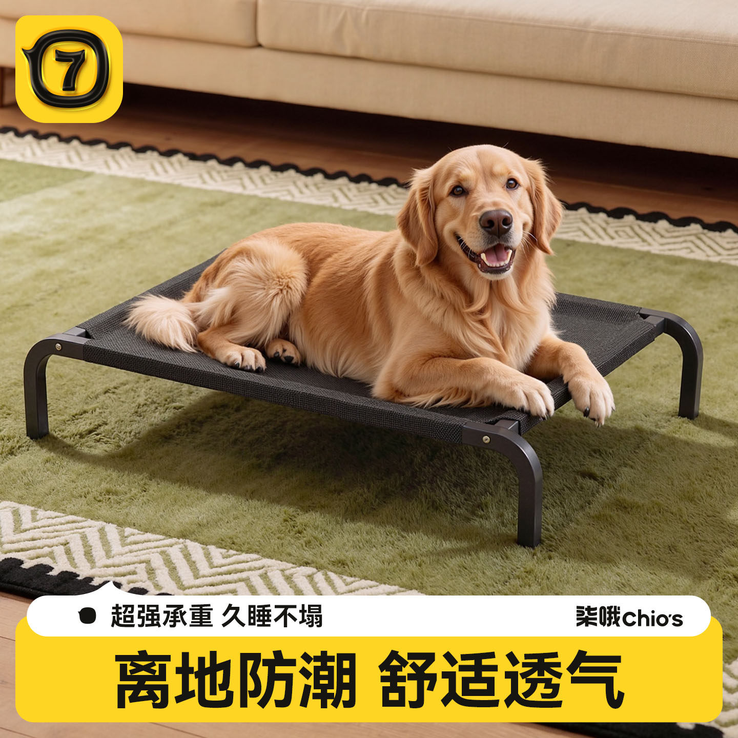 狗狗行军床舒适透气狗窝图片