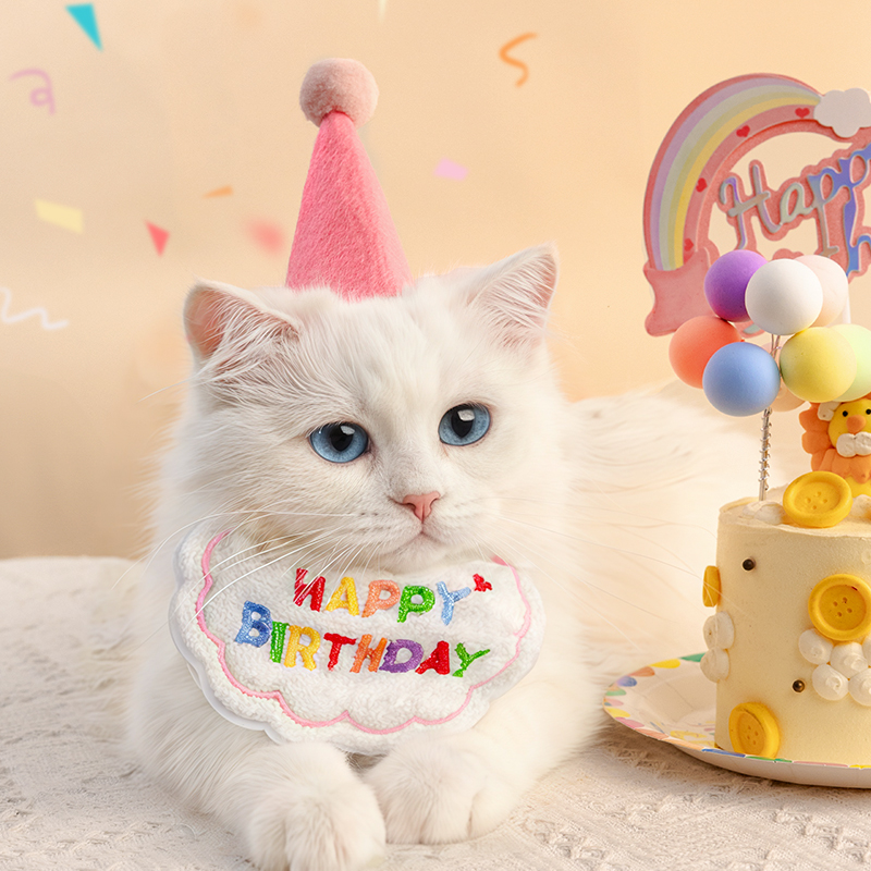宠物生日装扮猫狗生日帽
